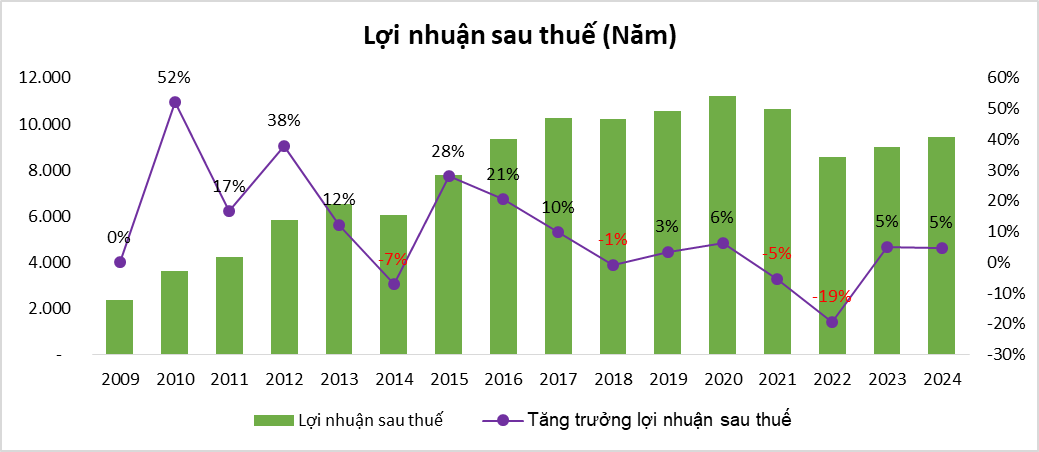 Biểu đồ: Doanh thu thuần (Q) và lợi nhuận sau thuế công ty mẹ (Q)