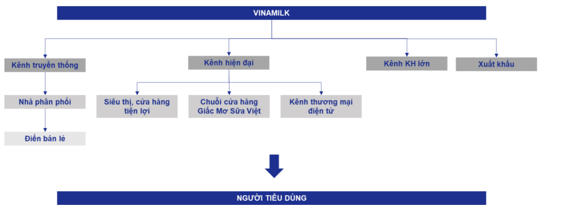 Biểu đồ: Doanh thu thuần (Q) và lợi nhuận sau thuế công ty mẹ (Q)