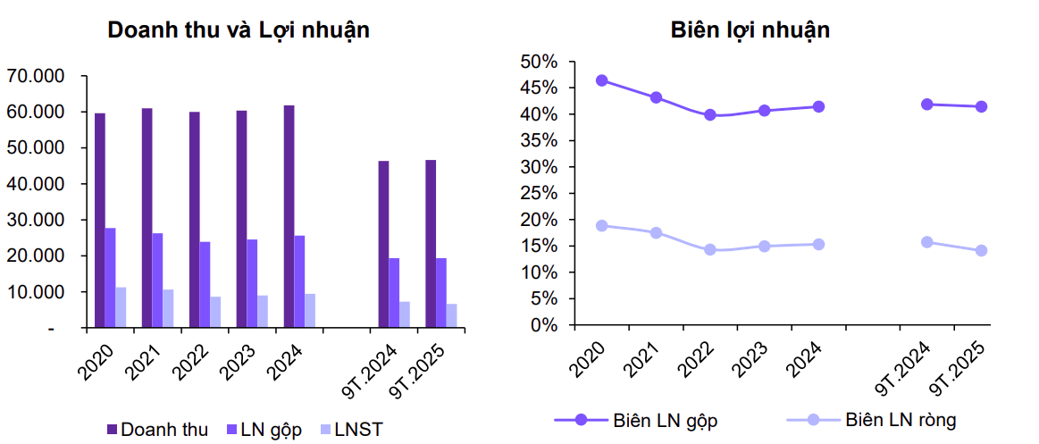 Biểu đồ: Doanh thu thuần (Q) và lợi nhuận sau thuế công ty mẹ (Q)